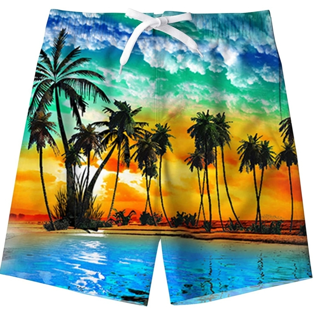 Boys Quick-drying Hawaii beach design swimtrunks